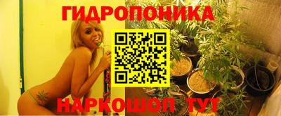 ешки Краснознаменск
