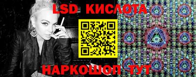 стаф Краснодар
