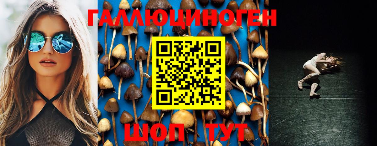 Галлюциногенные грибы Cubensis  сколько стоит  Владивосток  Вход с VPN 