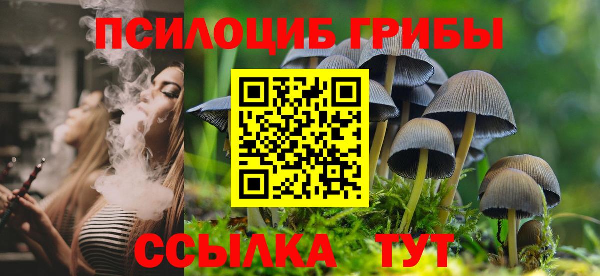 Галлюциногенные грибы MAGIC MUSHROOMS Владивосток